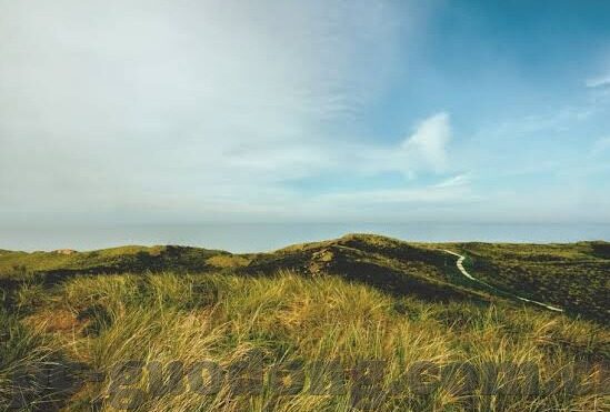 高清日韩av-探索高清日韩AV的多元文化视角与艺术价值
