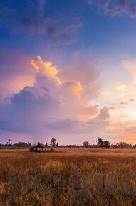国产91原创精品麻豆-新世纪的华彩篇章——国产91原创精品的独特魅力与麻豆风采