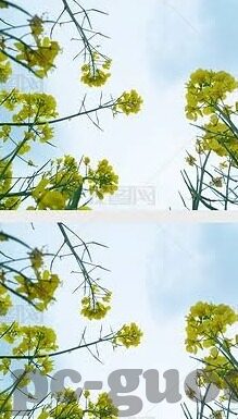 果冻传媒视频观看-探索果冻传媒视频，数字时代的娱乐新视角