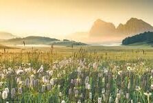 麻豆直播间app-互联网新趋势下的内容创作探索，麻豆直播间App的现象与影响