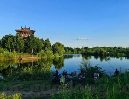 上床视频麻豆-互联世界的迷思，上床视频与麻豆的背后
