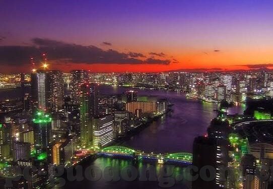 糖心vlog新官网入口-「糖心Vlog」新官网上线，探索新视界，共享精彩时刻