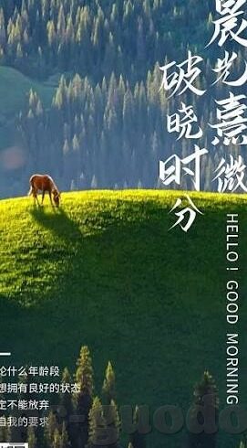 伊人大香蕉中文字幕-探索伊人大香蕉的魅力，中文字幕下的文化交融